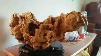 一顿多少公斤多少千克，一顿多少公斤多少立方