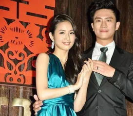 林依晨的老公是富豪吗，林依晨的老公林于超