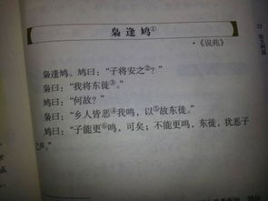 文的意思在名字里含义，文的意思取名怎么样