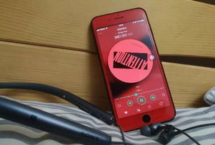 苹果7p换屏幕要多少钱?，苹果7p换屏幕要多少钱怎么知道外屏还是内屏坏的