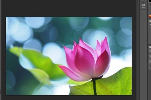 ps抠图详细步骤图解，简单ps抠图教程图解