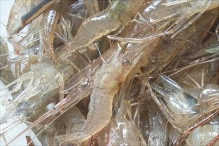 虾过敏有什么解除方法，虾过敏全身痒怎么缓解