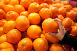 橘子和桔子有什么区别功效如何用途怎么用，橘子橙子柑子有什么区别