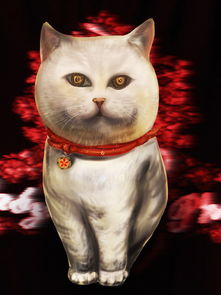 法老猫是什么品种，法老猫图片