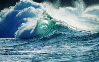 梦到海啸，梦到海浪很高很大涌来