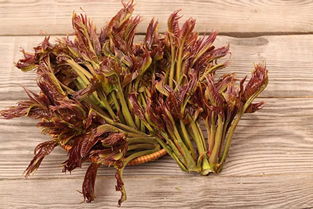 香椿菜的功效与作用及禁忌，香椿菜的做法