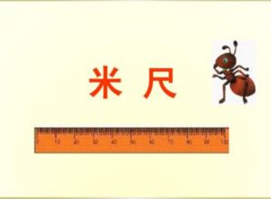 dm是什么意思，dm是什么意思单位怎么读