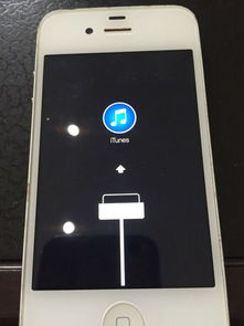 苹果手机忘记密码锁屏了怎么办，苹果手机忘记锁屏密码10秒解决