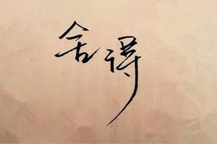 识人不清 遇人不淑是什么意思，识人不明遇人不淑是什么意思