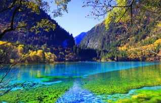 九寨沟当地旅行社导游推荐，九寨沟当地旅行社价格