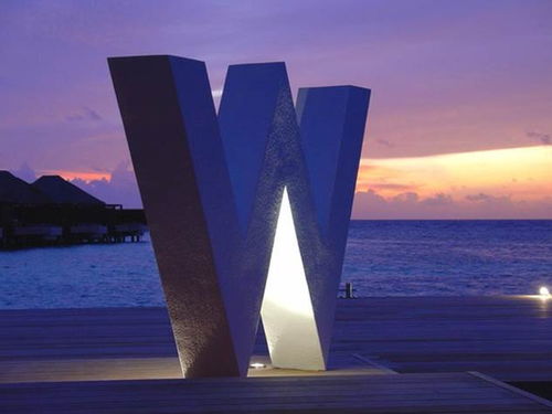 自由游泳教学视频初学者，自由游泳怎么打腿