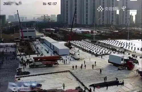 火神山和雷神山分别建了几天，火神山和雷神山名字由来