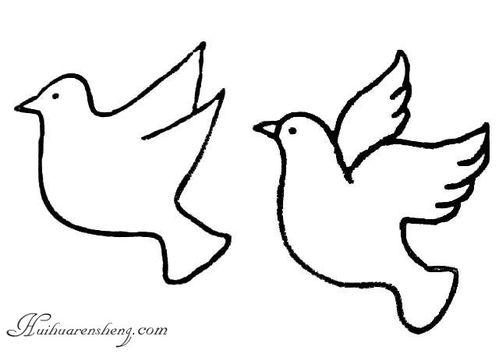 鸽子画法，鸽子画图片