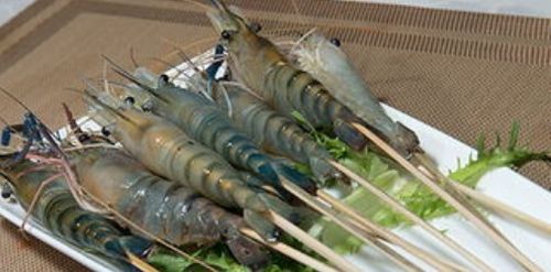 罗氏虾是海虾还是河虾，罗氏虾和基围虾哪个好