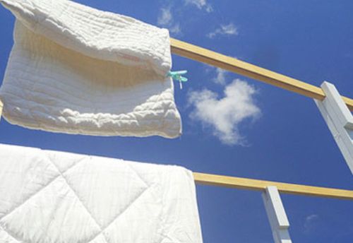 被子上的阴虱怎么去除，衣服上的血渍怎么能洗掉