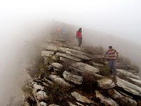 梦见大雾看不清路走路艰难，梦见大雾看不清路在路上追赶前面的车