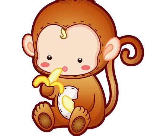 属猴的今年几岁2022，属鸡的今年几岁