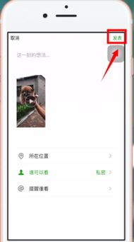 抖音视频发朋友圈怎么去掉抖音号，华为手机抖音怎么分享到朋友圈
