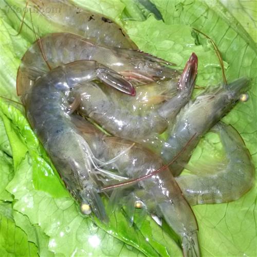 如何去虾线视频，如何去虾线和虾头脏东西