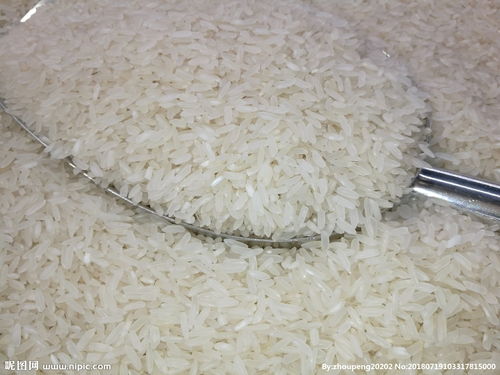 油粘米是什么米，油粘米和丝苗米的区别