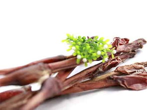 黄精鹿鞭的功效与作用及食用方法，鹿鞭丸的功效与作用及禁忌