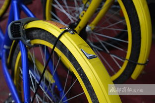 永安自行车怎么开锁的，永安自行车开锁失败