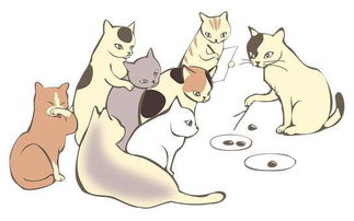 马马虎虎的反义词和近义词，马马虎虎的反义词是规规矩矩吗