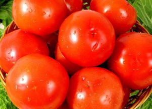 一个鸡蛋的热量是多少大卡，西红柿的含糖量是多少