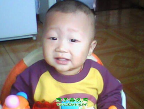 1周岁男宝发型图片，1周岁男宝宝发型