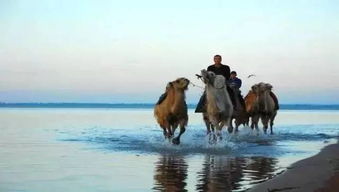 旎组词，旖旎组词和拼音