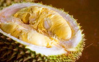 榴莲冷冻可以保存多久，榴莲放到保鲜可以吗