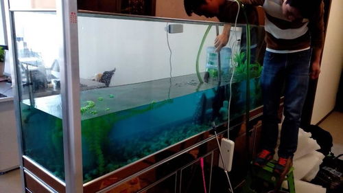 鱼缸清洗的正确方法，鱼缸清洗工具