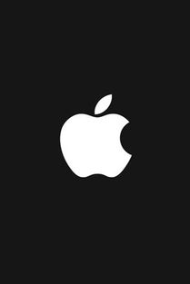 苹果开机密码怎么重设，苹果开机一直显示白苹果怎么办