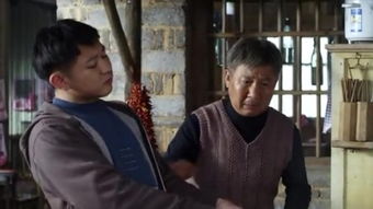 搭错车电视剧免费观看，搭错车电视剧为什么下架了