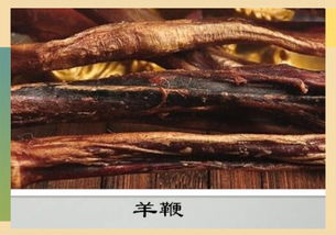 羊鞭是什么部位，牛鞭是什么意思