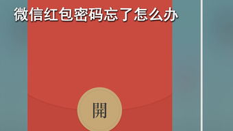 红包密码忘记了怎么办能退回吗，红包密码忘记了怎么办怎么解开