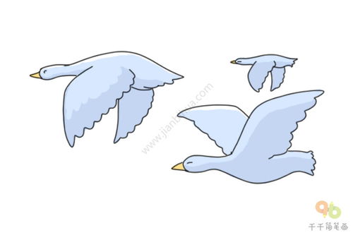 大雁简笔画三步，大雁简笔画图片