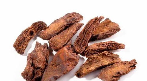 锁阳的功效与作用，锁阳泡水喝的正确方法