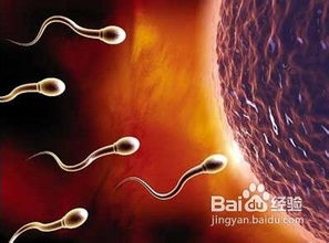 没有生精功能怎么办，无精症吃生精片管用吗