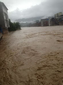 梦见涨水是什么征兆,水是清澈的，梦见涨水是什么意思 周公解梦