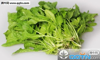 荠菜要焯水吗怎么焯，荠菜需焯水吗