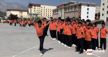 登封武术研究学校，登封武术培训班