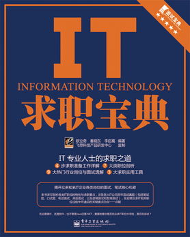 it求职简历模板下载，it求职网站