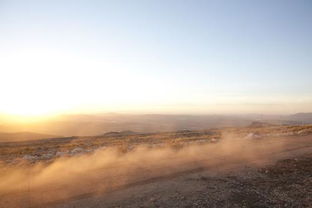什么的泥土，什么的珊瑚