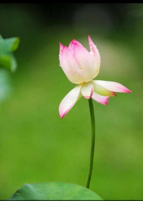 肩负重荷的意思，不胜重荷的意思