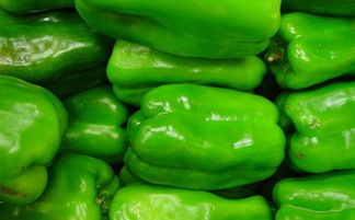 青尖椒和螺丝椒哪个辣，山东青尖椒辣吗