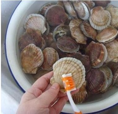 扇贝哪些部位不能吃图解，扇贝怎么清理里面脏东西