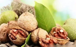 核桃的热量高吗 减肥期间可以吃核桃吗，减肥一天可以吃几个核桃