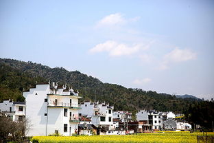 适合在农村做的25个项目，现在农村适合做什么项目