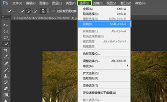 ps反选快捷键ctrl加什么，ps反选快捷键用不了